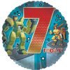 7 ROBOTS 1